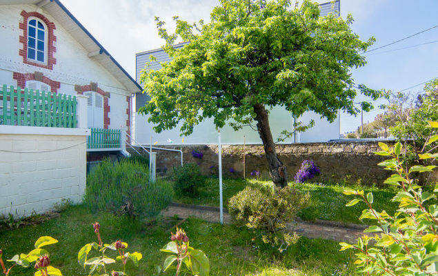 Harrington - Photo 3