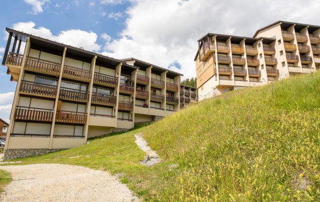 Les Asters - Photo 3