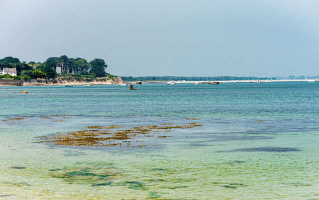 Maison Poul - Photo 20