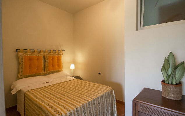 Rosmarino - Photo 20