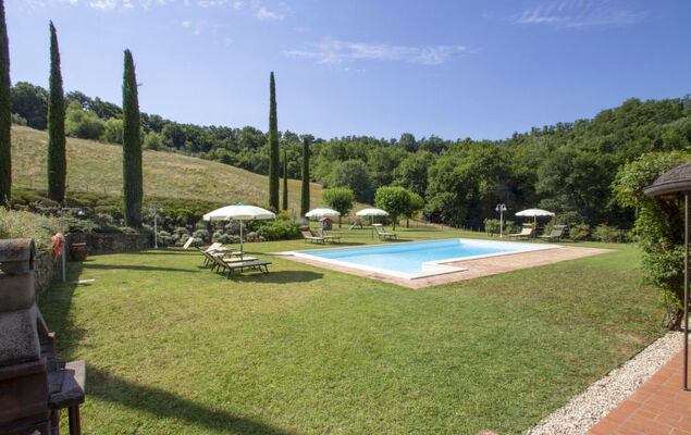 Rosmarino - Photo 26