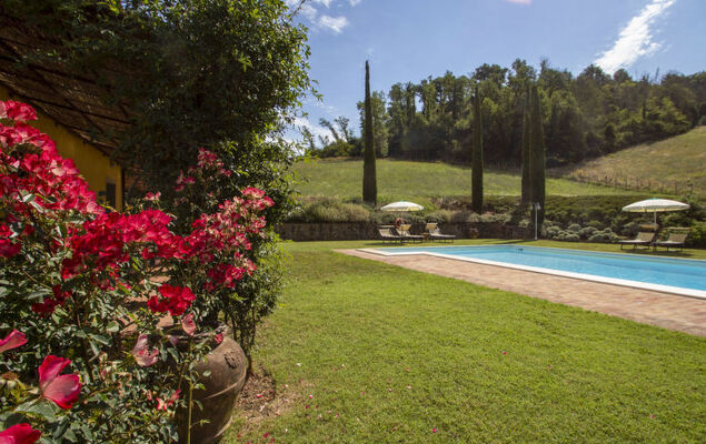 Rosmarino - Photo 28