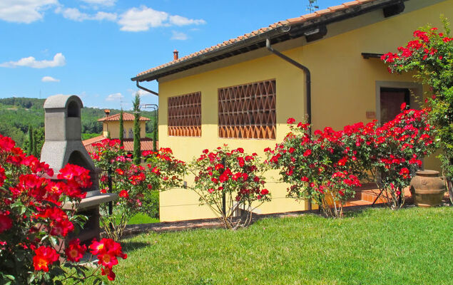 Rosmarino - Photo 37