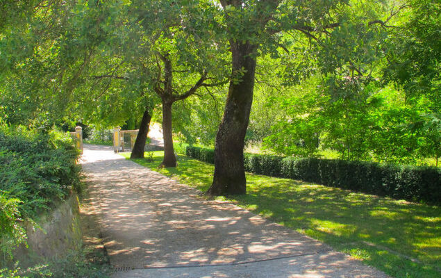 Rosmarino - Photo 38