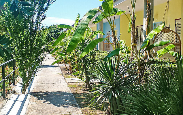 Dependance - Photo 4